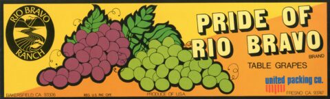 Pride of Rio Bravo